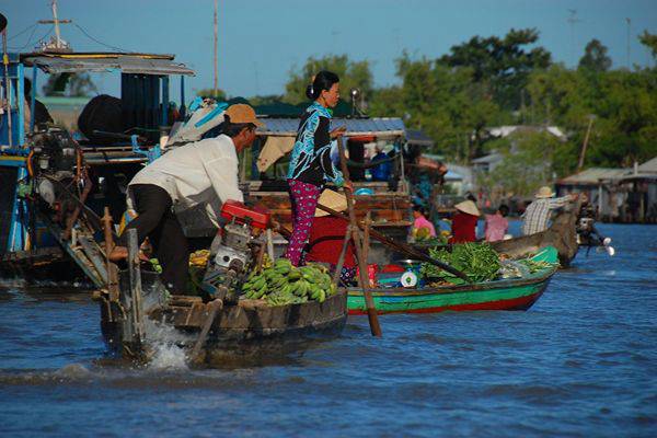 A Slow Morning in the Mekong Delta